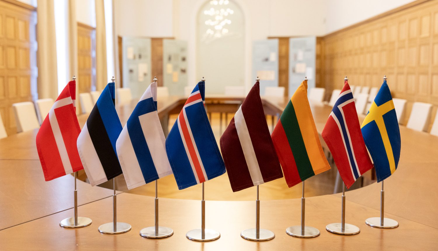 Страны NB8 совместно назвали укрепление Украины приоритетом