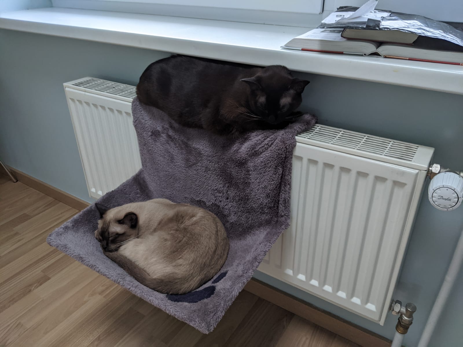 Счета рижан за тепло в январе увеличились на 12% Счета рижан за тепло в январе увеличились на 12%