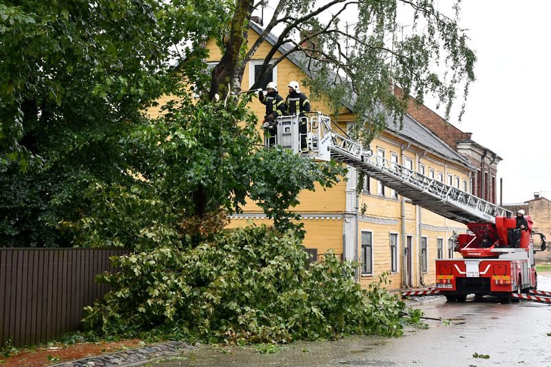 Спасатели получили 1245 заявок на помощь в ликвидации последствий бури Спасатели получили 1245 заявок на помощь в ликвидации последствий бури