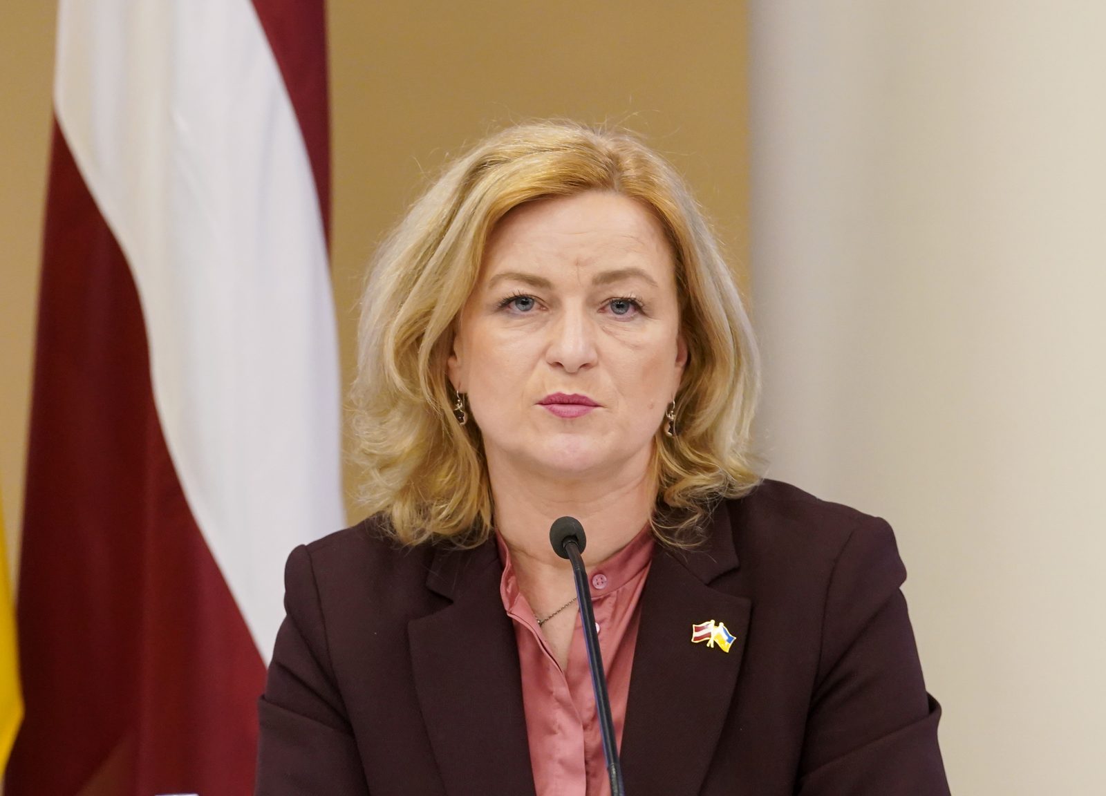 Индриксоне: невозможно придать динамику работе правительства за счет изменения сфер ответственности