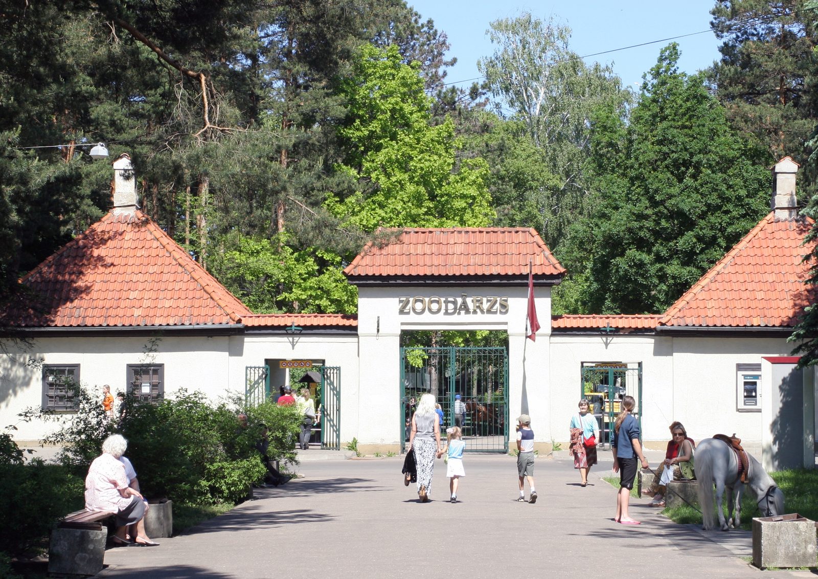 Zoodārzā var aplūkot gadu mijā dzimušo ķengura mazuli Zoodārzā var aplūkot gadu mijā dzimušo ķengura mazuli